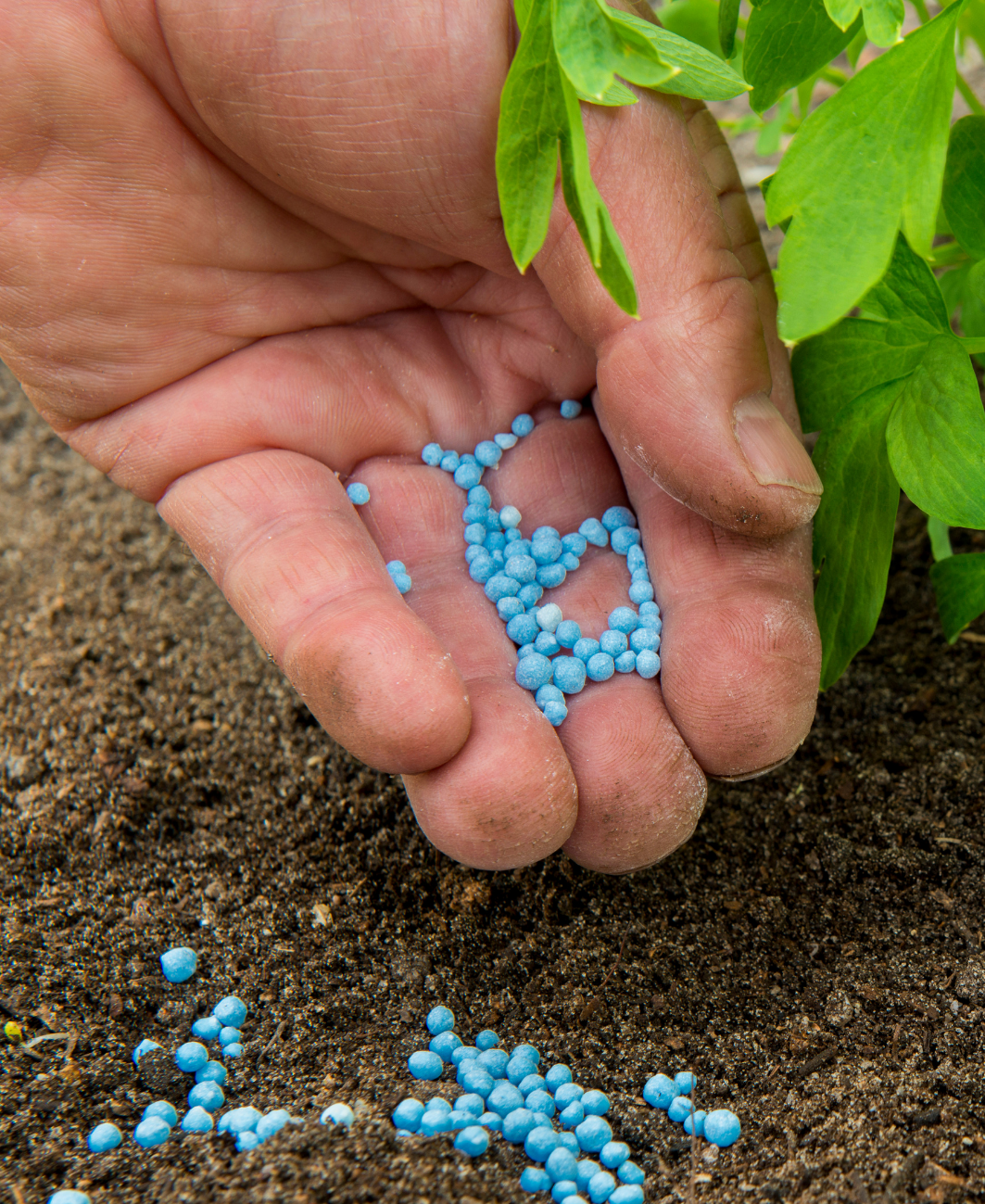 Blaukorn® N-Max 24-5-5 mēslojums pavasarī zālienam
