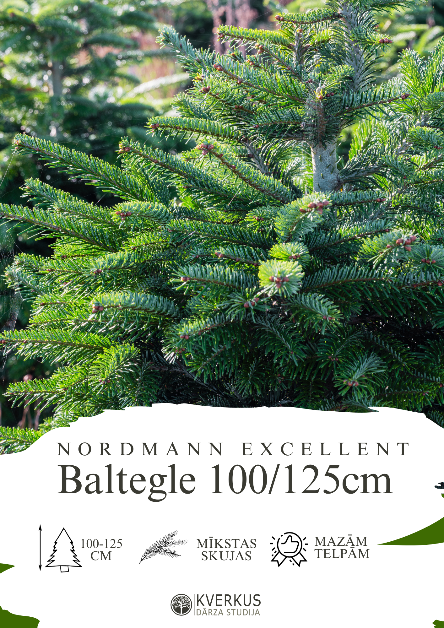 Baltegle EXCELLENT 100 - 125 CM