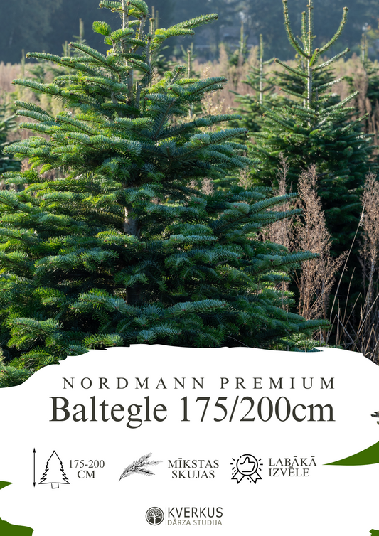 Baltegle PREMIUM 175 - 200 CM