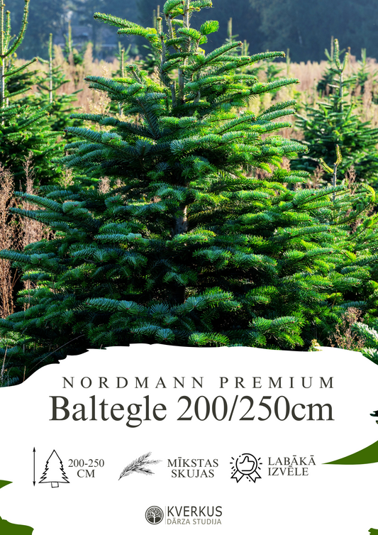 Baltegle PREMIUM 200 - 250 CM