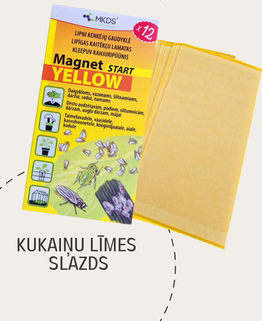 Kukaiņu lipīgās lamatas YELLOW START (7x14cm) 12gb.
