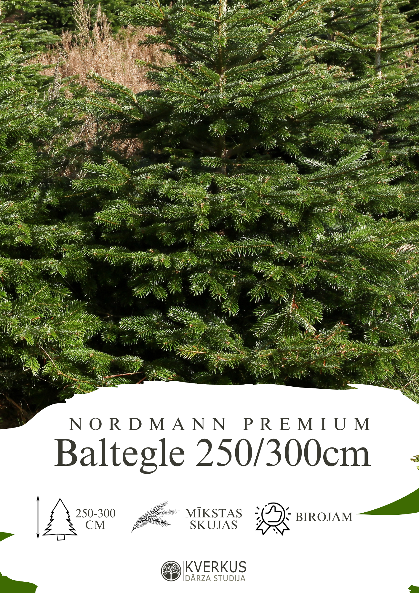 Baltegle PREMIUM 250 - 300 CM