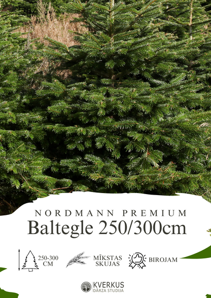 Baltegle PREMIUM 250 - 300 CM