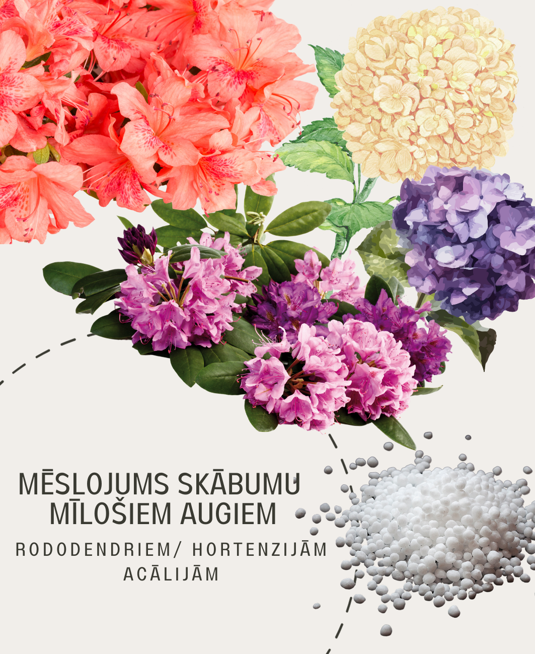 Mēslojums rododendriem/ hortenzijām