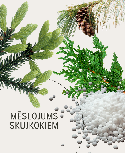 Mēslojums skujkokiem NPK+(Mg) 5-7-10(14)