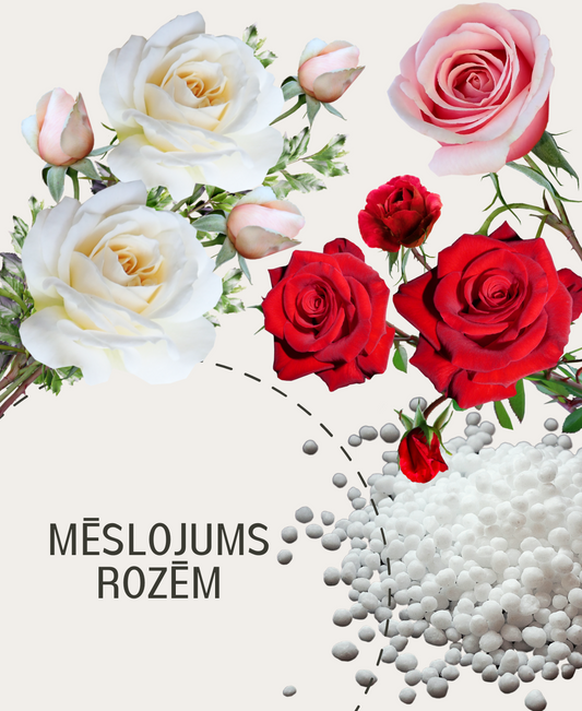 Mēslojums rozēm NPK+(Mg) 12-5-15 (5)